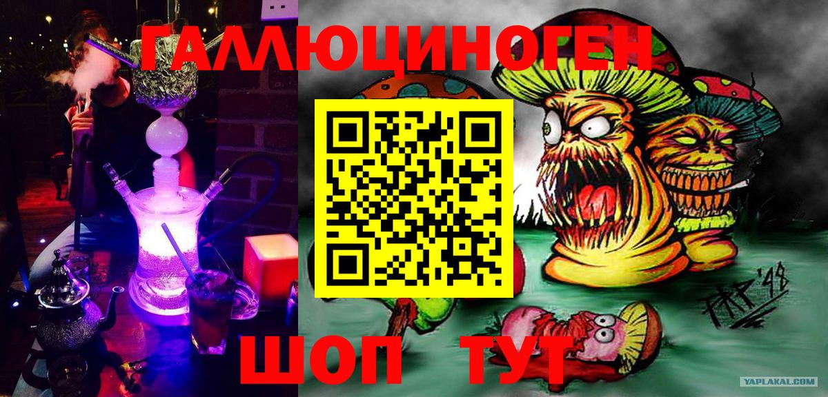 Псилоцибиновые грибы Psilocybine cubensis Егорьевск