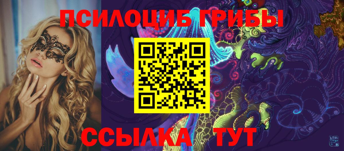 Егорьевск  Галлюциногенные грибы Cubensis  Вход с VPN 
